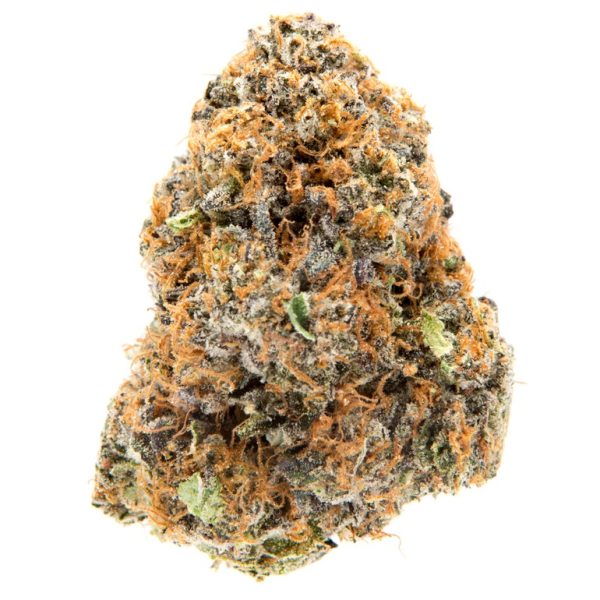 Gelato 45