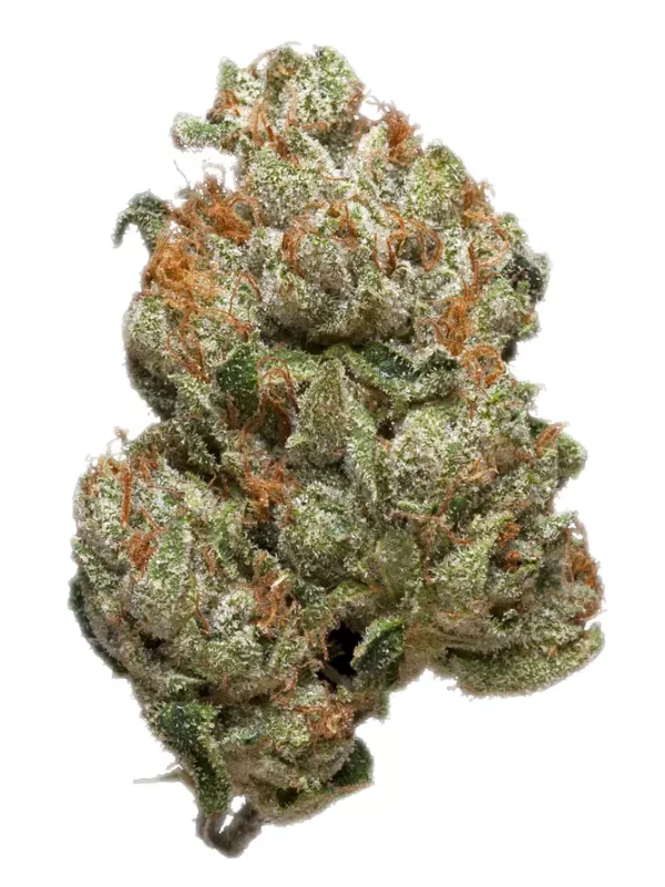 King Kong Glue
