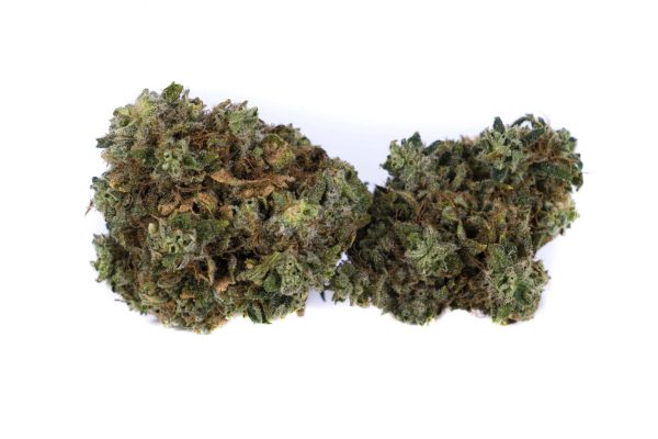 Wiz Khalifa OG TOP SHELF | $35/8th