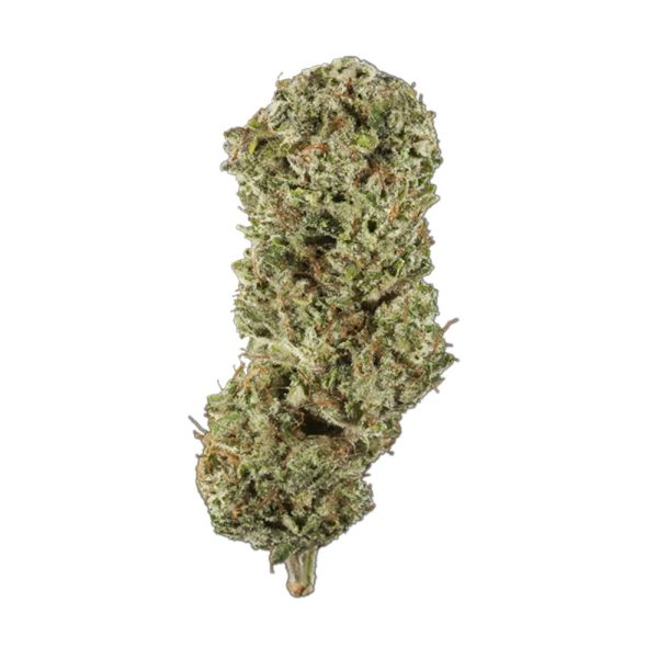 Zookies